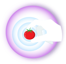 Evrenia oyunu görseli